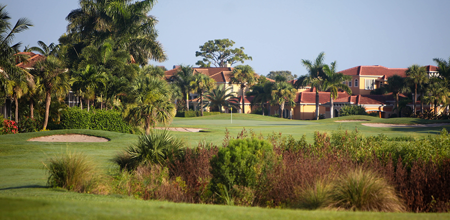 palm cove golf and yacht club membership cost